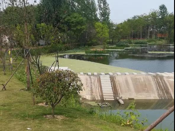 1595209190210541.jpg 微信圖片_20200427111130.jpg